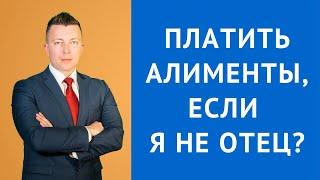 Оспаривание отцовства. Платить алименты, если я не отец?