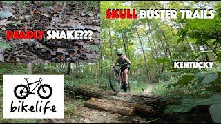 Skull Buster Mountain Bike Trails - Would You Ride Something With a Name Like This?
