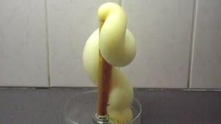 Chemistry experiment 10 - Elephant's toothpaste