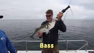 Dave Barham's Bass Fishing Secrets DVD Teaser