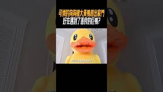 可憐的狗狗被大黃鴨趕出家門，好在遇到了善良的巨鴨?#奇聞奇事 #奇聞異事 #趣事