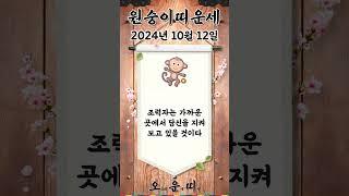 오늘의 원숭이띠 운세 2024년 10월 12일 #원숭이띠 #오늘의운세 #내일의운세 #운세 #운세쇼츠