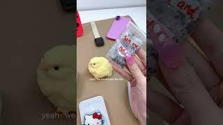 ranting my fidget boards worth 3000 dollars #asmr #satisfying #fufusquishy