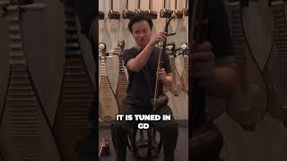 Discover the Unique Sounds of Chinese String Instruments