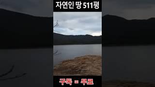 511평 몽땅 1600만원 !! 호수 인근 자연인 땅