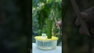 Mini Bamboo Fountain: A Zen Oasis in a Box