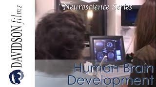 Human Brain Development: Nature and Nurture, a preview (Davidson Films)