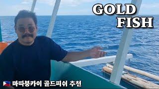  마닐라 호핑 투어 골드 피쉬 추천 VIP Gold Fish Matabungkay Hopping Tour.  With 왕손이 GAG DIVERs TEAM