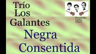 Trío Los Galantes:  Negra Consentida  -  (letra y acordes)