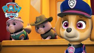 Ultimate Rescue Pups räddar de kungliga kattungarna! - PAW Patrol På Svenska Tecknad film för barn