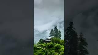 專注 奇蹟音樂｜Instrumental Soaking Music By Miracle Music #安靜音樂 #放鬆音樂 #睡覺音樂