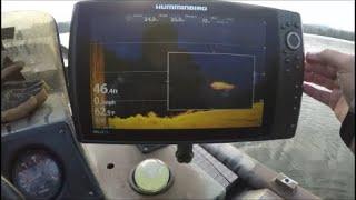 HUMMINBIRD HELIX FISH FINDER - What Bass, Striper, Catfish, Sturgeon look like on the Screen