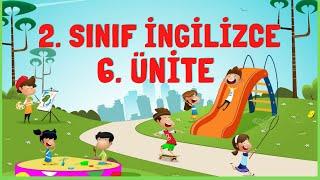 2. Sınıf İngilizce 6. Ünite Kelimeleri Konu Anlatımı