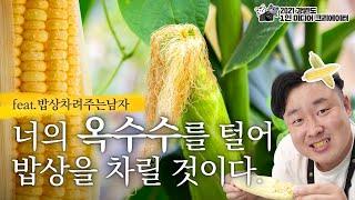 알이 꽉~찬 꿀맛 강원도 옥수수를 털어 보았습니다.ㅣ강원 1인 미디어 크리에이터