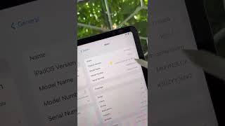 What iPad Do I Have - Quick & Easy Guide How To Identify Your iPad Model