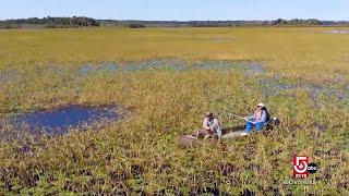 Surprise crops growing in Massachusetts