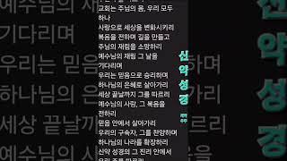 신약성경  김익현