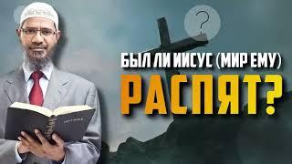 доктор закир найк на русском. Был ли Иисус действительно распят? doktor i dr zakir naik russian