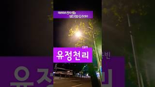 유정천리   #김용빈#박재홍#추억의가요#미스터트롯3