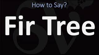 How to Pronounce Fir Tree? (CORRECTLY)