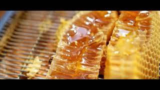 Beekeeping - Union City