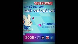 Sim vinaphone chỉ hơn 3K/ngày truy cập MXH không giới hạn #vinaphone #yolo100m