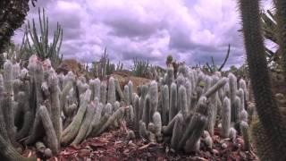 A visit to Cactus Country