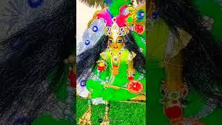 Mahiye Jinna Sohna Laddu Gopal Babu ka #shortvideo #ark #radhekrishna