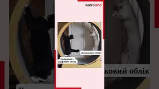 25 листопада 2024 р.