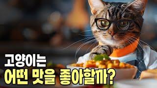 고양이는 참치, 소고기, 닭고기중 어떤 맛을 더 좋아할까요? 고양이 미각의 모든것.