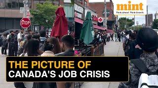 Viral Video: Canada Job Crisis | Foreign Students Lining Up At Tim Hortons For Jobs