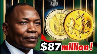 Stunning South African Coin Collections: The Top 2 for 2025