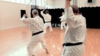 Adult Karate Classes