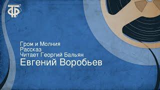 Евгений Воробьев. Гром и Молния. Рассказ. Читает Георгий Бальян