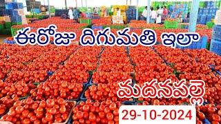 Madanapalle Tomato market price today 29-10-2024 | Madanapalle Tomato mundy rates daily #tomato