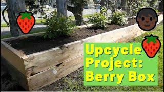 DIY Scrap Wood Project: Building a garden box for blueberries out of discarded lumber from a shed