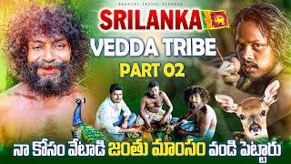 Srilanka  Vedda Tribes | వేటగాళ్ళ తో కలిసి అడవిలోకి వేటకు వెళ్ళాను | Wild Hunters Part 02