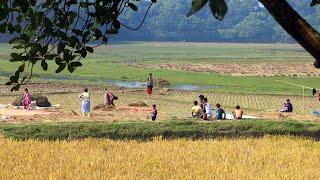 RAW Winter Village Life in Bangladesh | 2022 | People Activities | Explore Beautiful Bangladesh