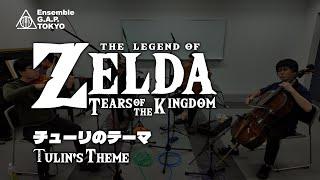 ゼルダの伝説　ティアーズ オブ ザ キングダム　チューリのテーマ / The Legend of Zelda: Tears of the Kingdom　Tulin's Theme