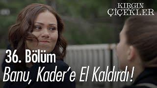 Banu, Kader'e el kaldırdı! - Kırgın Çiçekler 36. Bölüm