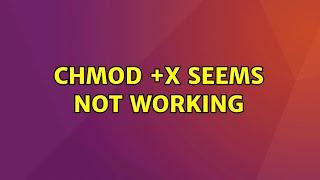 Chmod +x seems not working