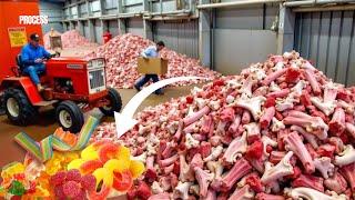 How GELATIN is Made? How Pig Skins Become Gelatin: From Waste to Candy!