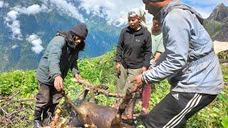 Celebration In The Mountain || Sawaney Sakranti 