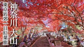 Mt. Oyama｜Afuri Shrine&Oyama Temple｜Autumn Leaves Light-up｜Japan Kanagawa