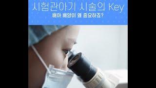 [마리아병원] 시험관아기 시술의 Key, 배아 배양이 왜 중요하죠?