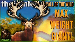 Max Weight Super Tight Rack Diamond Red Deer & SOOOO Much More! Call of the wild