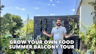 Balcony Garden Tour July  Tips to grow vegetables, fruits & herbs in containers for small space