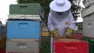 Quick and easy production of a split hive