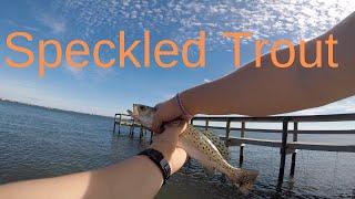 Florida Speckled Trout Fishing - "It's Fish O'Clock Somewhere"