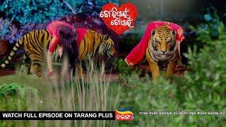 Tori Pain To Pain | Ep - 427 | 23rd Sept 2024 | Watch Full Episode Now On Tarang Plus